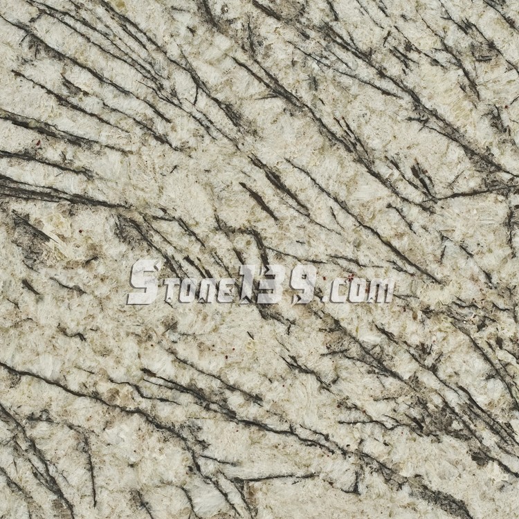 藍冰花(亞非藍、小藍鉆、灰鉆、冰花藍)花崗巖