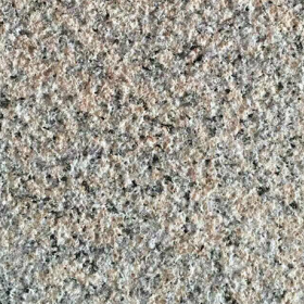 泌陽(yáng)紅荔枝面