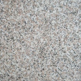 遼寧興城市虎皮花供應