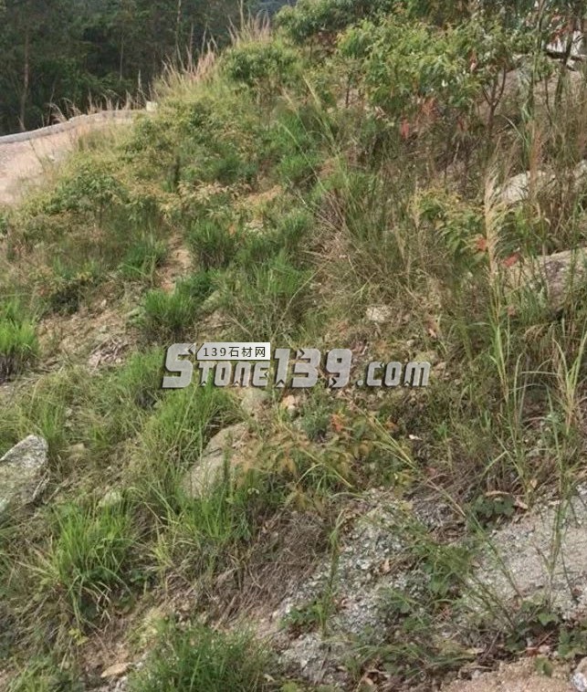 廣東海浪花石材產地信宜大成投200萬元環保，努力打造綠色礦山