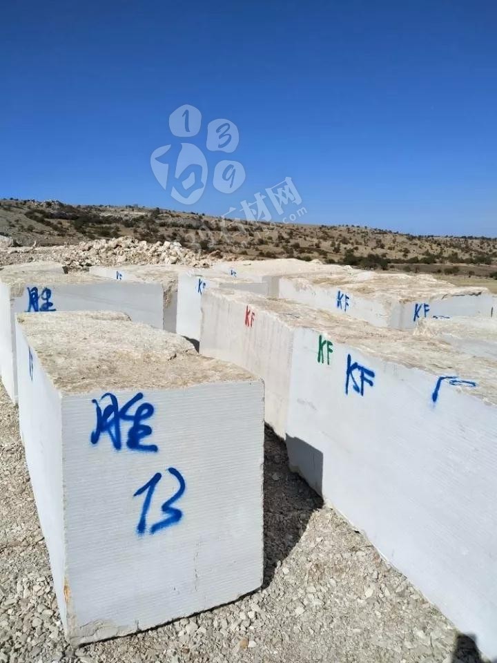 勝牌意大利木紋產品及案例應用