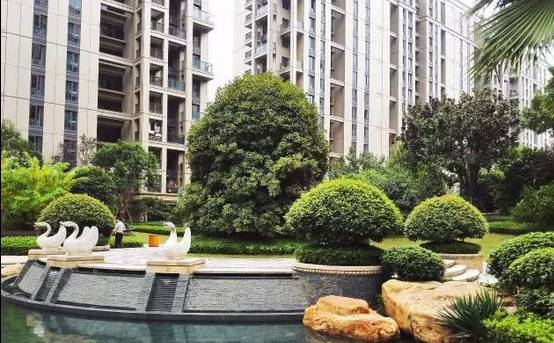 花崗巖石材樹池園藝環境石應用案例欣賞