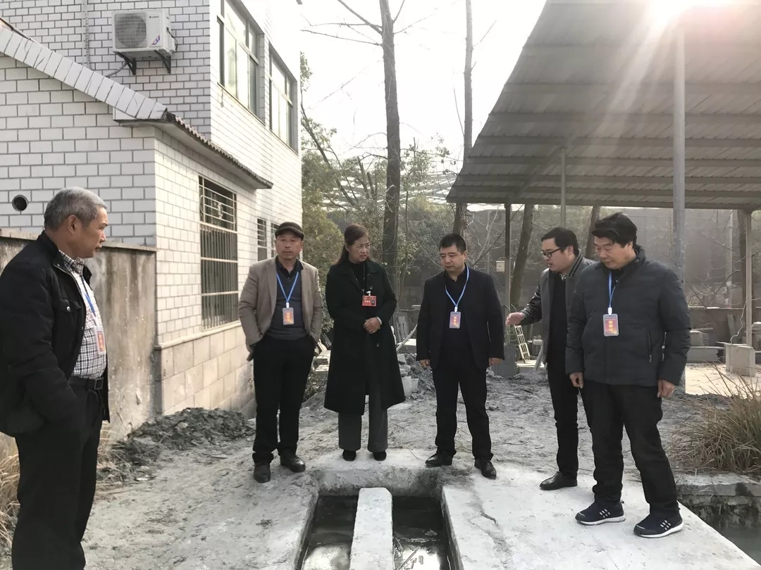 浙江桐廬縣鐘山鄉人大代表開展石材行業整治專項視察活動