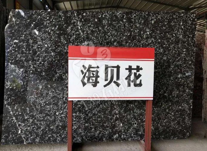 貴州【正安縣貴福石業】海貝花大理石