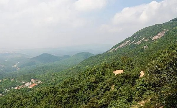 廣東印發2020年礦山石場復綠方案：不規范的停產整治