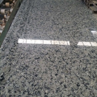 廣西珍珠蘭毛光板批發