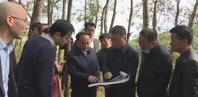 湖北木蘭紅產(chǎn)地大悟縣將建成鄂北規(guī)模最大的石材產(chǎn)業(yè)園！