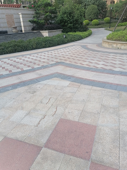 映山紅、藍水晶、菊花黃