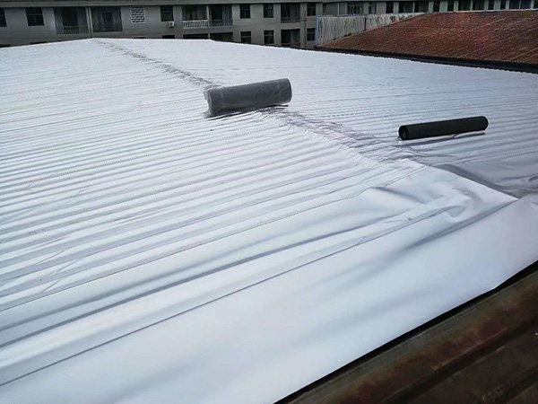 �}���FƤ������