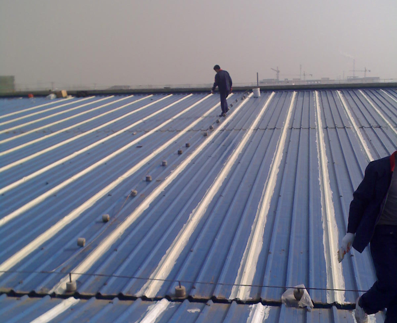 �FƤ�S����ˮ�a(b��)©