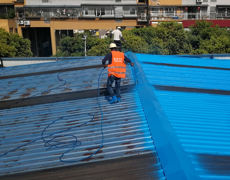 2000�O�S���������P����