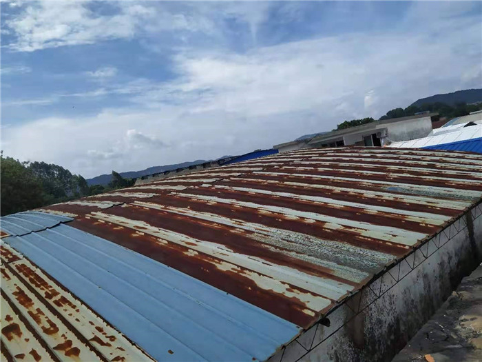 ������޿�����